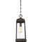Quoizel Ravenel 1-Light Western Bronze Mini Pendant RNL1508WT - alternate 5